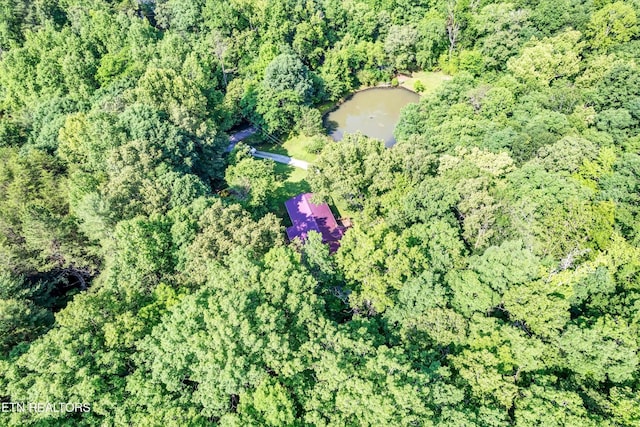 152 Spring Ln, Philadelphia, TN 37846 - photo 58