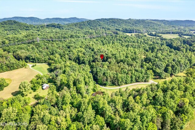 152 Spring Ln, Philadelphia, TN 37846 - photo 48