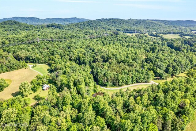 152 Spring Ln, Philadelphia, TN 37846 - photo 49