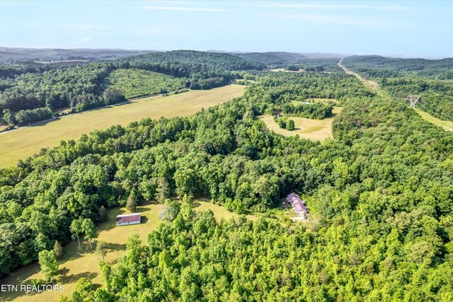 152 Spring Ln, Philadelphia, TN 37846 - photo 53