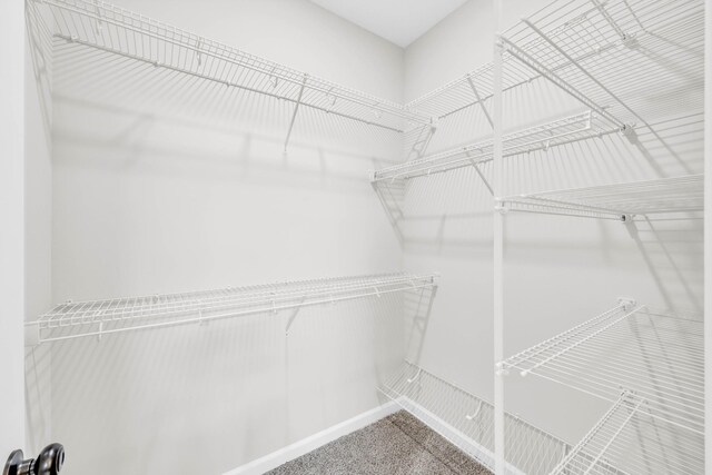 752 Boreal Way, Clarksville, TN 37042 - spacious closet featuring carpet floors
