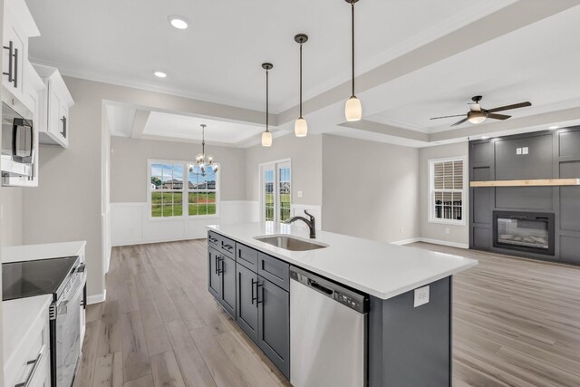 752 Boreal Way, Clarksville, TN 37042 - kitchen with stainless steel appliances, a sink, a tray ceiling, light wood finished floors, and recessed lighting