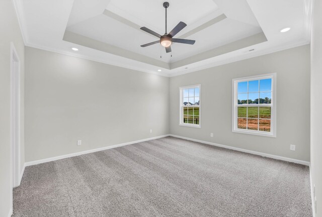 752 Boreal Way, Clarksville, TN 37042 - empty room featuring a tray ceiling, carpet flooring, ceiling fan, ornamental molding, and baseboards