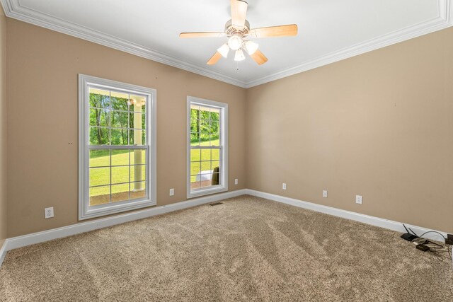 24 Alease Dr, Fayetteville, TN 37334 - photo 33