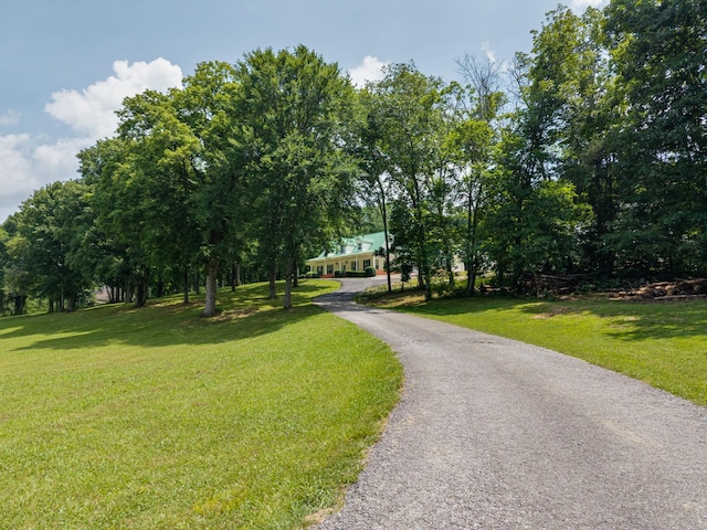 24 Alease Dr, Fayetteville, TN 37334 - photo 3