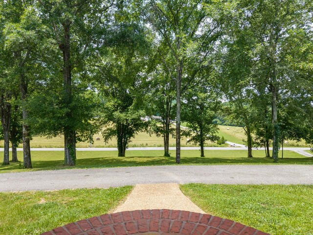 24 Alease Dr, Fayetteville, TN 37334 - photo 65