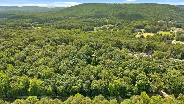 274 Pine Hill Dr SW, Mc Donald, TN 37353 - photo 25