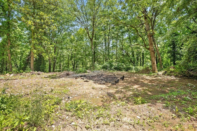 274 Pine Hill Dr SW, Mc Donald, TN 37353 - photo 4