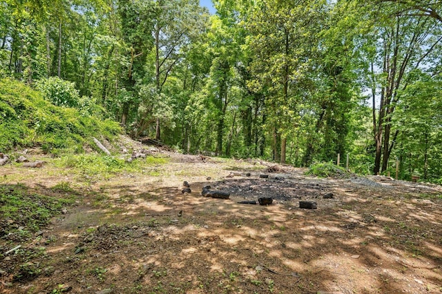 274 Pine Hill Dr SW, Mc Donald, TN 37353 - photo 3