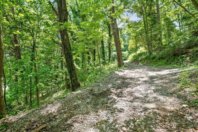 274 Pine Hill Dr SW, Mc Donald, TN 37353 - photo 15