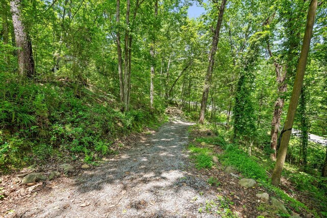 274 Pine Hill Dr SW, Mc Donald, TN 37353 - photo 14