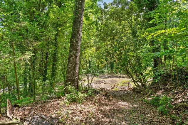 274 Pine Hill Dr SW, Mc Donald, TN 37353 - photo 12