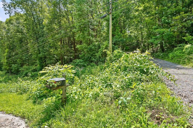 274 Pine Hill Dr SW, Mc Donald, TN 37353 - photo 16