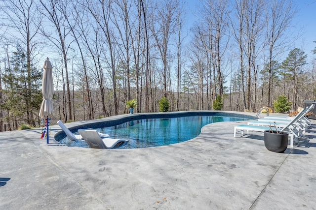 639 Piney Creek Rd, Hohenwald, TN 38462 - view of pool featuring a patio