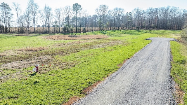 0 Fall River Rd, Leoma, TN 38468 - photo 9