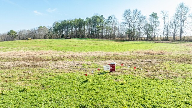 0 Fall River Rd, Leoma, TN 38468 - photo 11