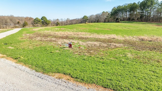 0 Fall River Rd, Leoma, TN 38468 - photo 2
