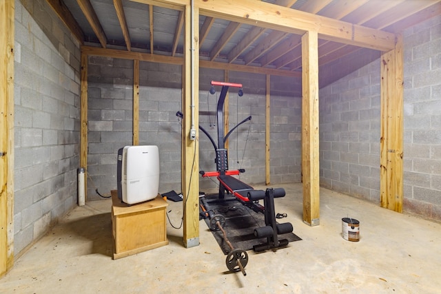 532 Tidwell Rd, Bon Aqua, TN 37025 - unfinished basement with concrete block wall
