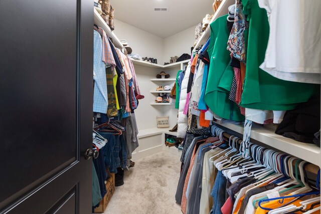532 Tidwell Rd, Bon Aqua, TN 37025 - walk in closet with light colored carpet