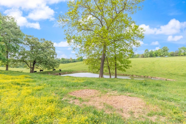 532 Tidwell Rd, Bon Aqua, TN 37025 - view of green lawn featuring a water view