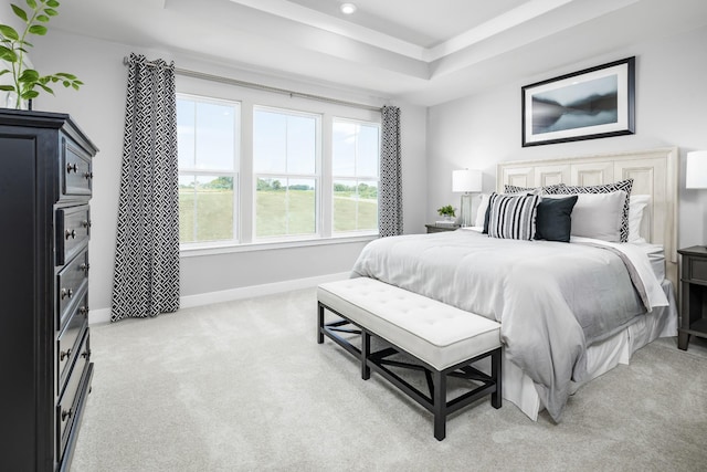 184 Primrose Ln, Gallatin, TN 37066 - bedroom featuring a tray ceiling, light colored carpet, baseboards, and recessed lighting