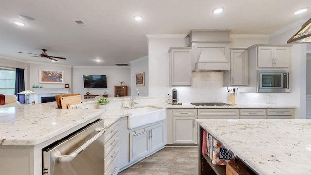 1106 Davidson Walk, Spring Hill, TN 37174 - kitchen featuring appliances with stainless steel finishes, a sink, custom exhaust hood, a ceiling fan, and ornamental molding