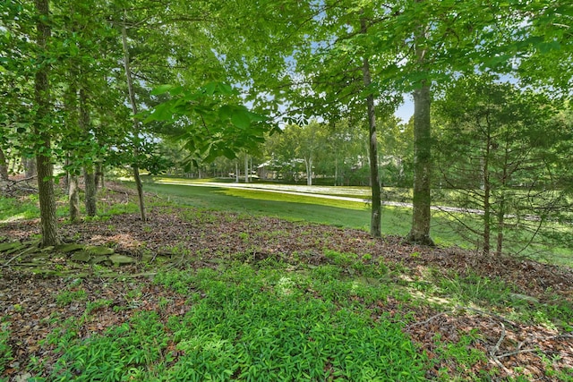 104 Minetta Dr, Crossville, TN 38558 - photo 28