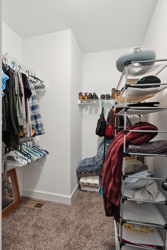 1505 Bakers Work Rd, Burns, TN 37029 - walk in closet featuring carpet