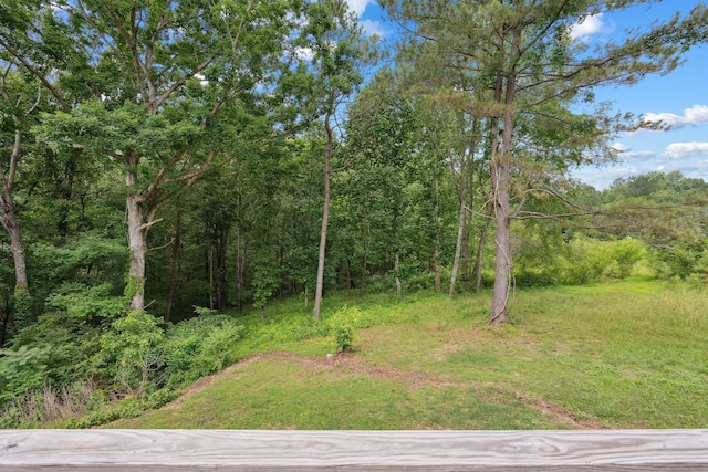1505 Bakers Work Rd, Burns, TN 37029 - view of yard with a wooded view