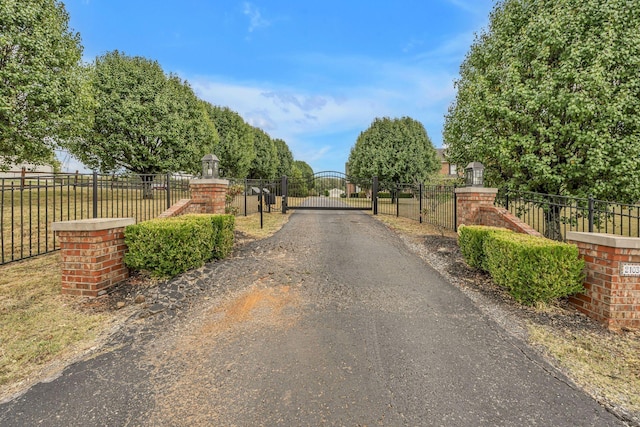 2103 Liebengood Rd, Goodlettsville, TN 37072 - view of asphalt driveway with a gate and a gated entry