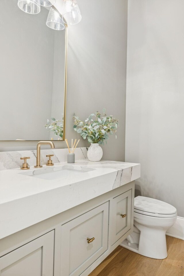 9314 Double Run Ct, College Grove, TN 37046 - bathroom with toilet, vanity, and wood finished floors