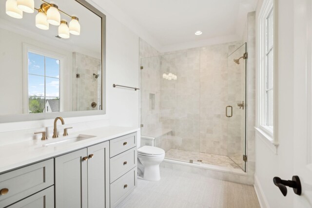 9314 Double Run Ct, College Grove, TN 37046 - bathroom featuring vanity, a shower stall, toilet, and recessed lighting