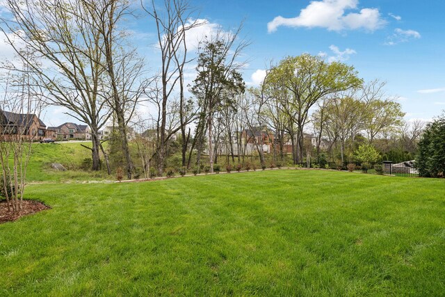9314 Double Run Ct, College Grove, TN 37046 - view of grassy yard