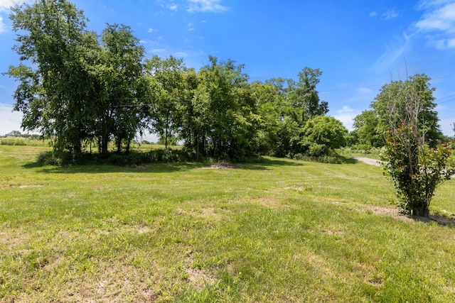 392 New Hope Rd, Alexandria, TN 37012 - photo 20