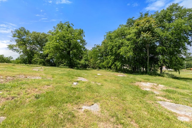 392 New Hope Rd, Alexandria, TN 37012 - photo 15