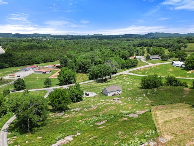 392 New Hope Rd, Alexandria, TN 37012 - photo 18
