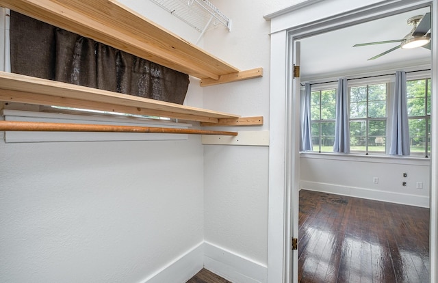 213 Maple St, Bell Buckle, TN 37020 - view of closet