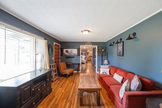 300 Buena Vista Rd, Huntingdon, TN 38344 - photo 3