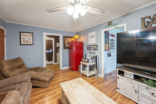 300 Buena Vista Rd, Huntingdon, TN 38344 - photo 9