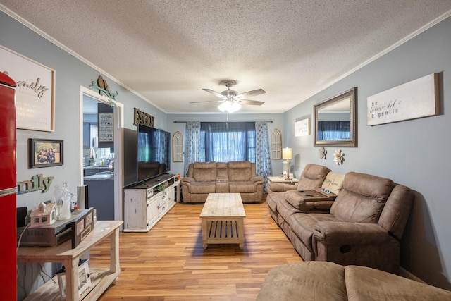 300 Buena Vista Rd, Huntingdon, TN 38344 - photo 8
