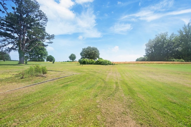 300 Buena Vista Rd, Huntingdon, TN 38344 - photo 19