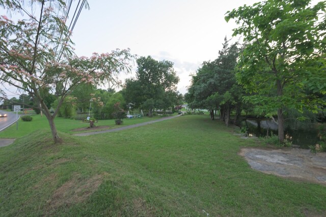 1304 Fairfield Pike, Shelbyville, TN 37160 - photo 33