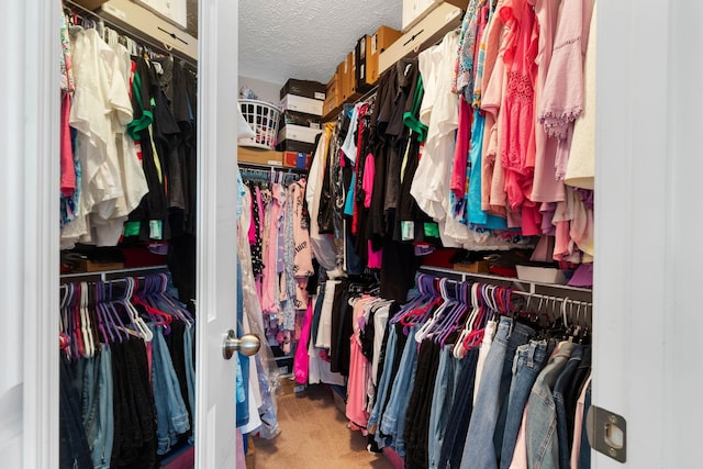 5104 Preserve Blvd, Antioch, TN 37013 - walk in closet with carpet floors