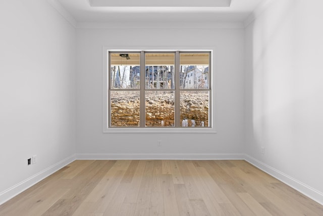 4712 Dempsey Way, Chattanooga, TN 37419 - spare room with light wood finished floors, baseboards, and a tray ceiling