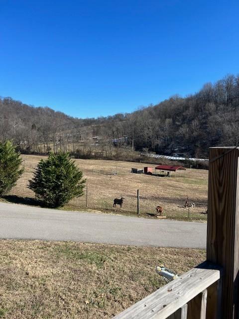 625 White Hollow Ln, Lafayette, TN 37083 - photo 25