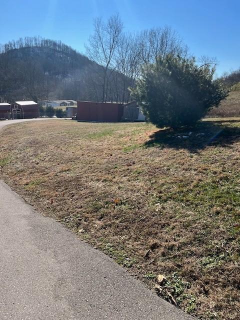 625 White Hollow Ln, Lafayette, TN 37083 - photo 39