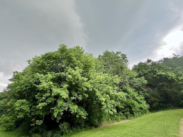 1173 Cedar Hurst Ln, Pulaski, TN 38478