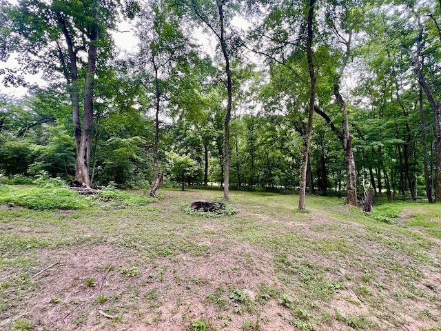 1173 Cedar Hurst Ln, Pulaski, TN 38478