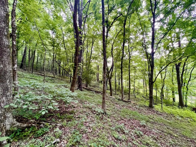 1173 Cedar Hurst Ln, Pulaski, TN 38478