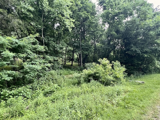 1173 Cedar Hurst Ln, Pulaski, TN 38478